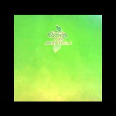 Walrus / Groon - Boris With Merzbow