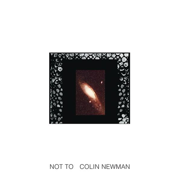  - Colin Newman