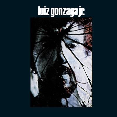  - Luiz Gonzaga JR.