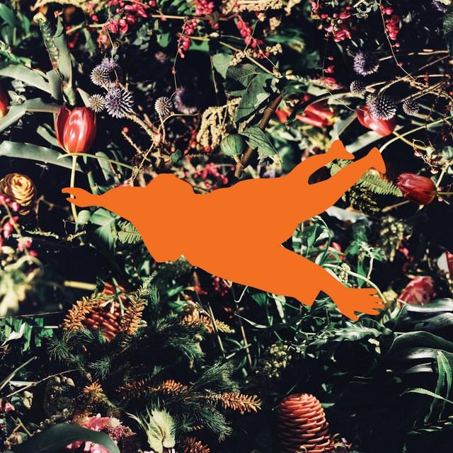 Regrowth Rearranged: Running Around - Sampology, Izy
