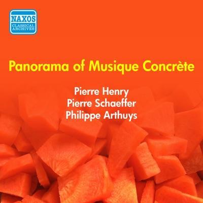 L'Œuvre Musicale - Pierre Schaeffer