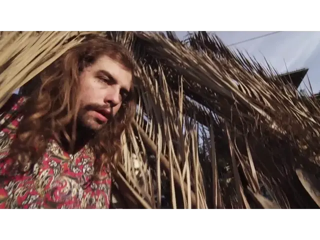 Timeline - Mild High Club
