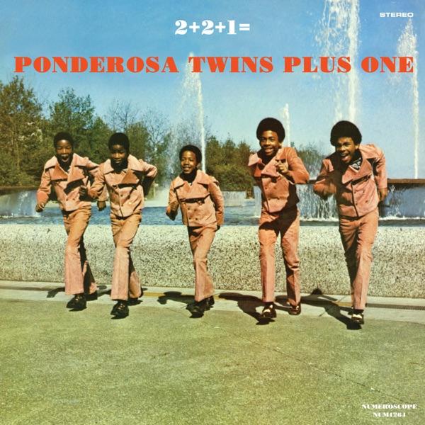 2+2+1= - The Ponderosa Twins Plus One