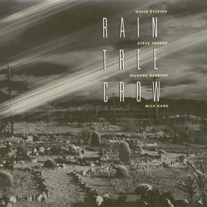 Unknown Album - Rain Tree Crow