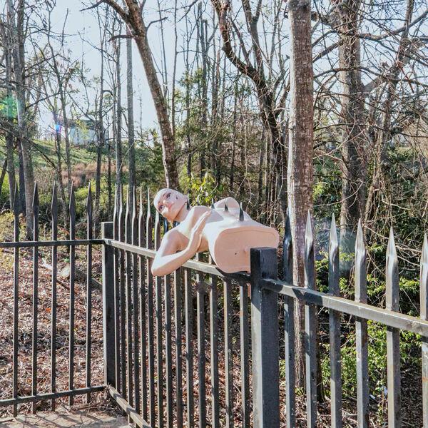 On the Fence - Arnie Brenn