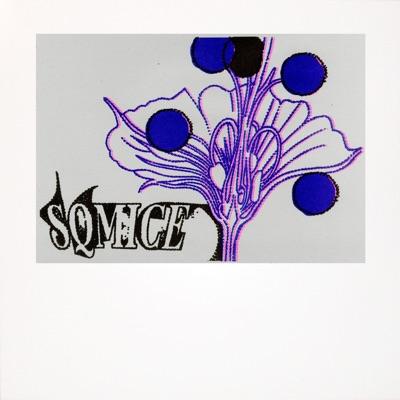 Stell dich - SQ Mice