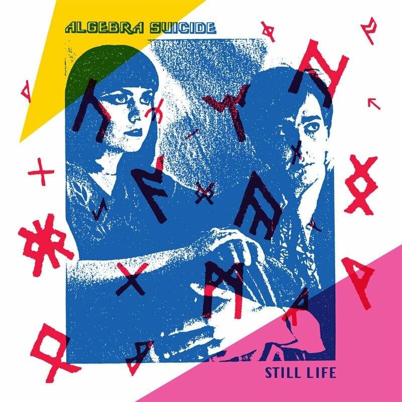 Still Life - Algebra Suicide