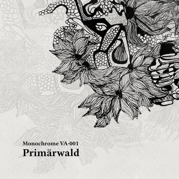 Primärwald - Clarence Rise
