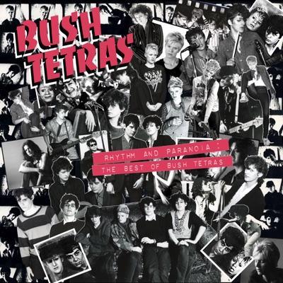 Too Many Creeps - Bush Tetras