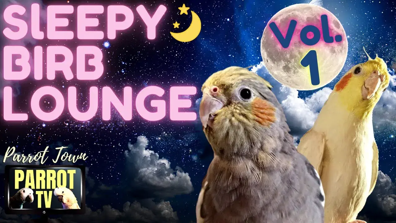  - (soundtracings) sleep soon*