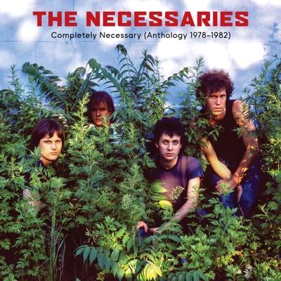 Completely Necessary (Antholog - The Necessaries