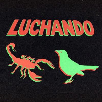 Luchando - LA LOM, Los Mirlos