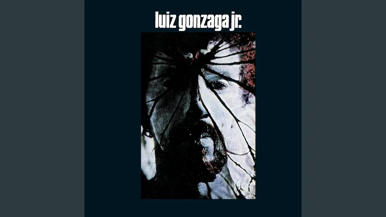 Luiz Gonzaga Jr - Gonzaguinha