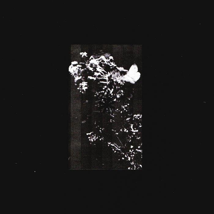 Residue - L.Douglas