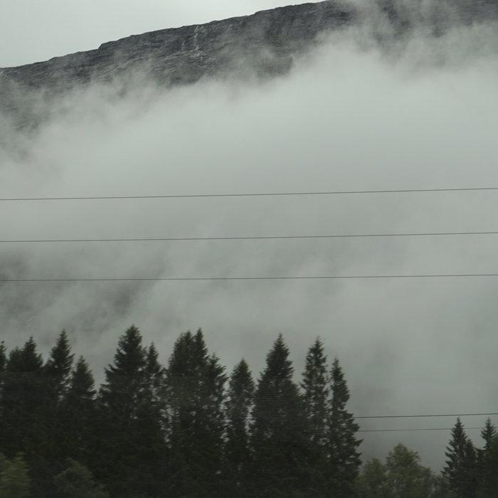 Wandering Mind, Drifting Weather - Julia Gjertsen & Gustav Davidsson