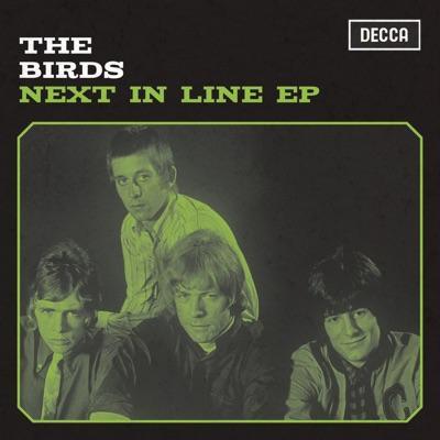  - Birds Birds 