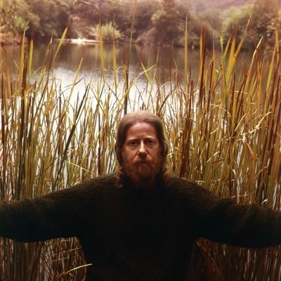 Wild Boy: The Lost Songs Of Eden Ahbez - The Ray Anthony Orchestra