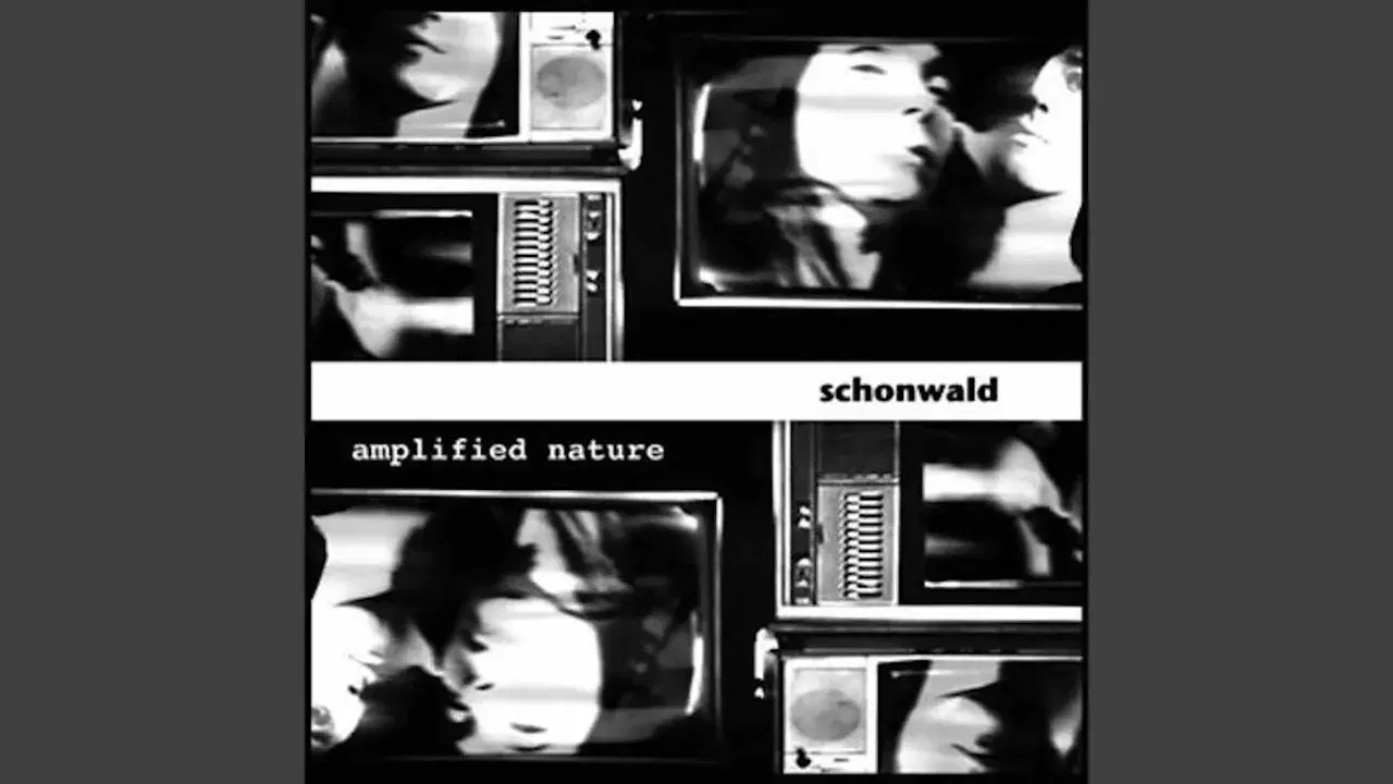Amplified Nature - Schonwald