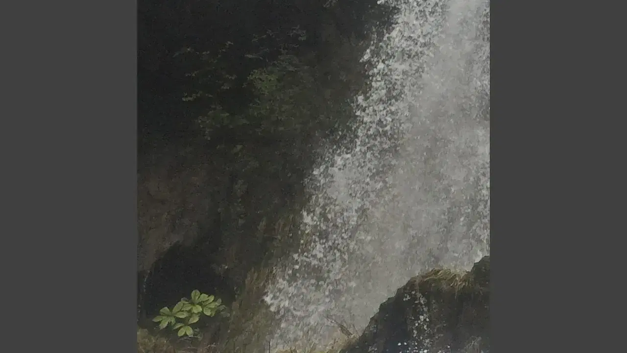 Fern - Namisoup