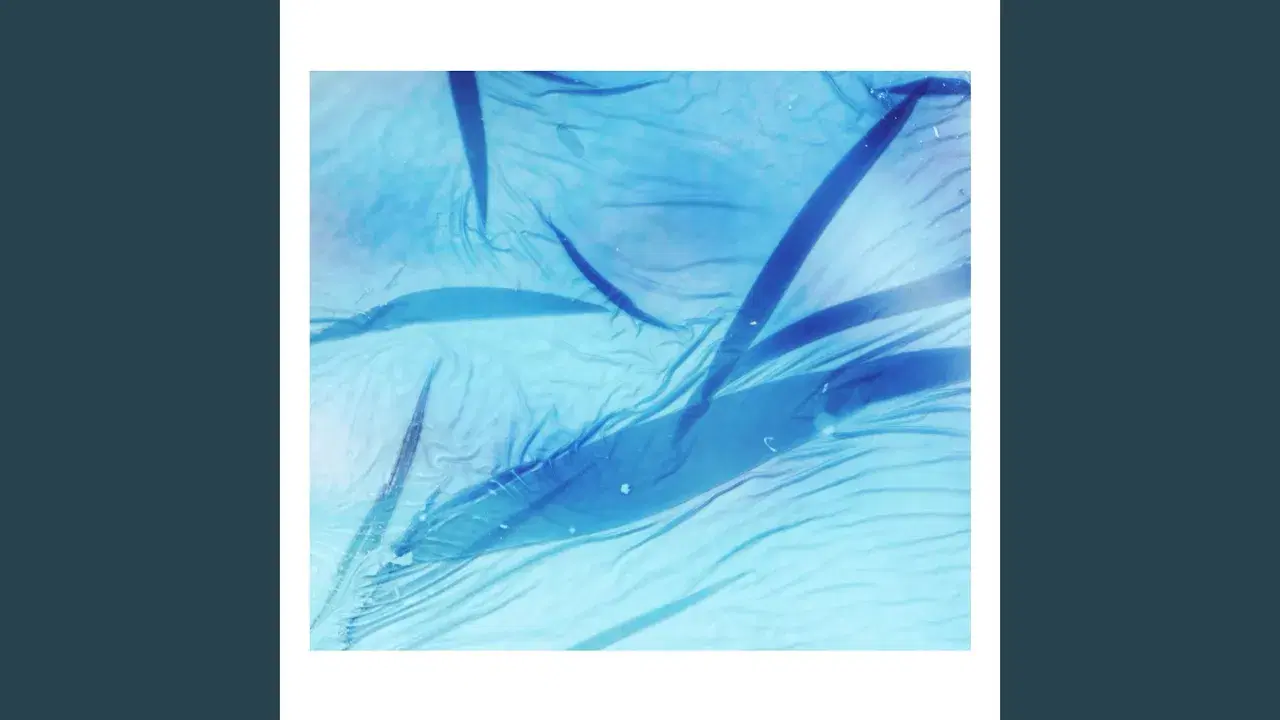 Sea-swallowed Wands - Jolanda Moletta and Karen Vogt