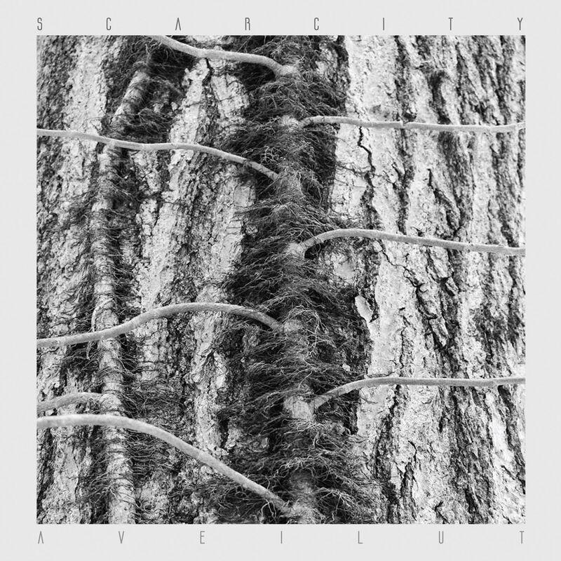 Aveilut - Scarcity