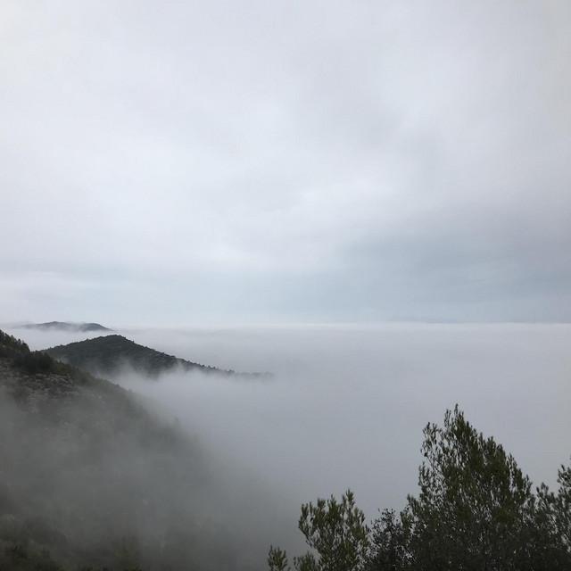 Silver Cord - Hraach