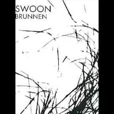 Swoon - Brunnen