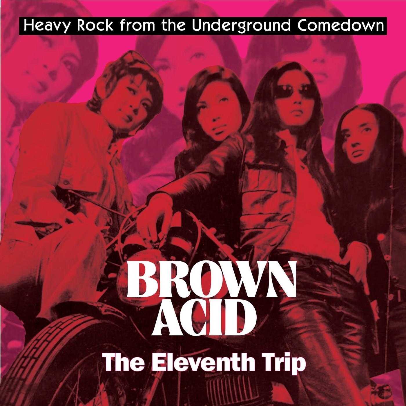 Brown Acid "The Eleventh Trip" - Debb Johnson