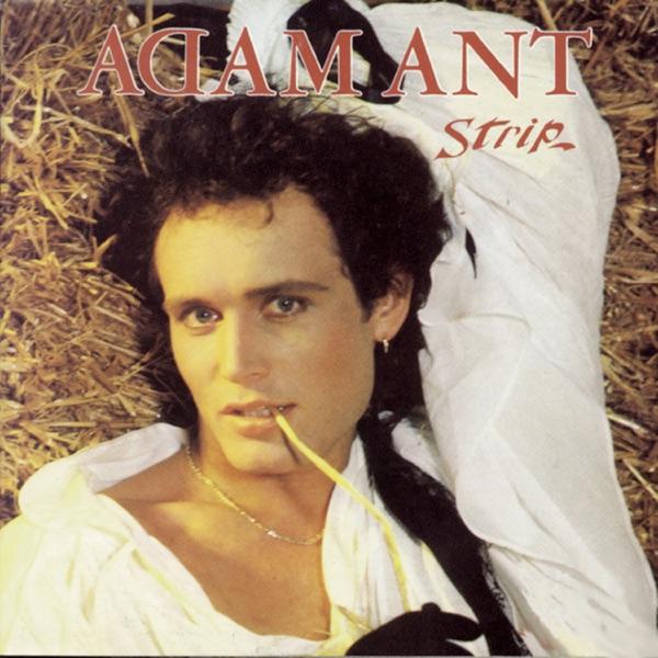  - Adam Ant