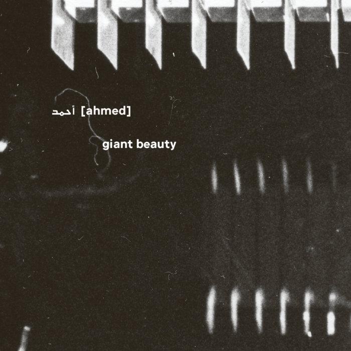 Giant Beauty - أحمد [Ahmed]