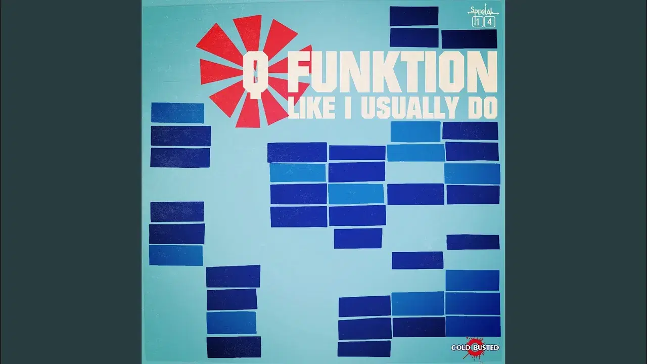 Like I Usually Do - Q Funktion