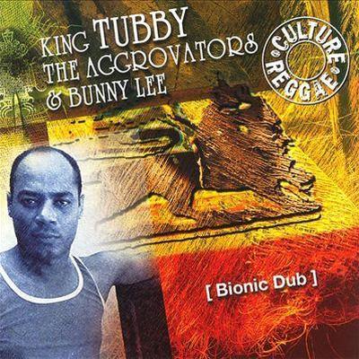 Bionic Dub 1975_77 - Aggrovators