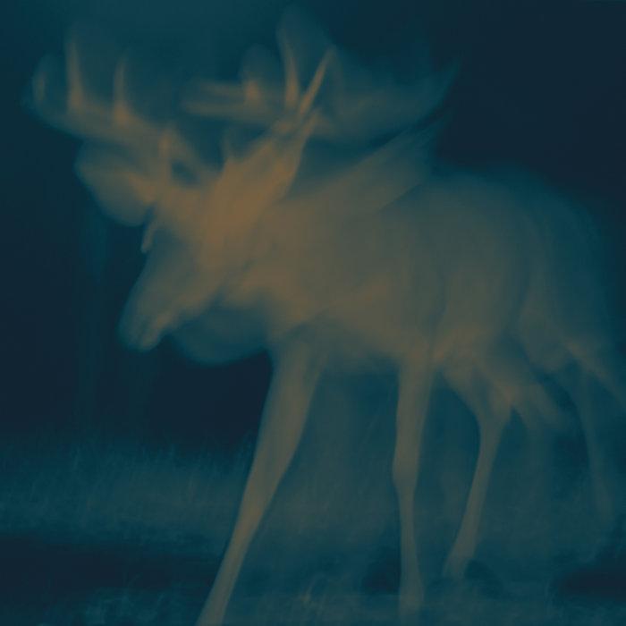 The Spirit Of Things - Laura Masotto