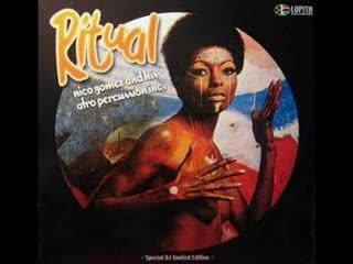  - Nico Gomez & His Afro Percussion Inc.