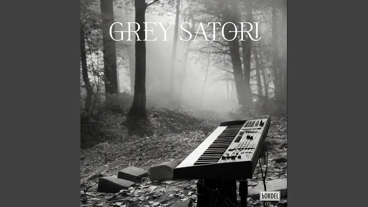 Dark Frequency - Grey Satori