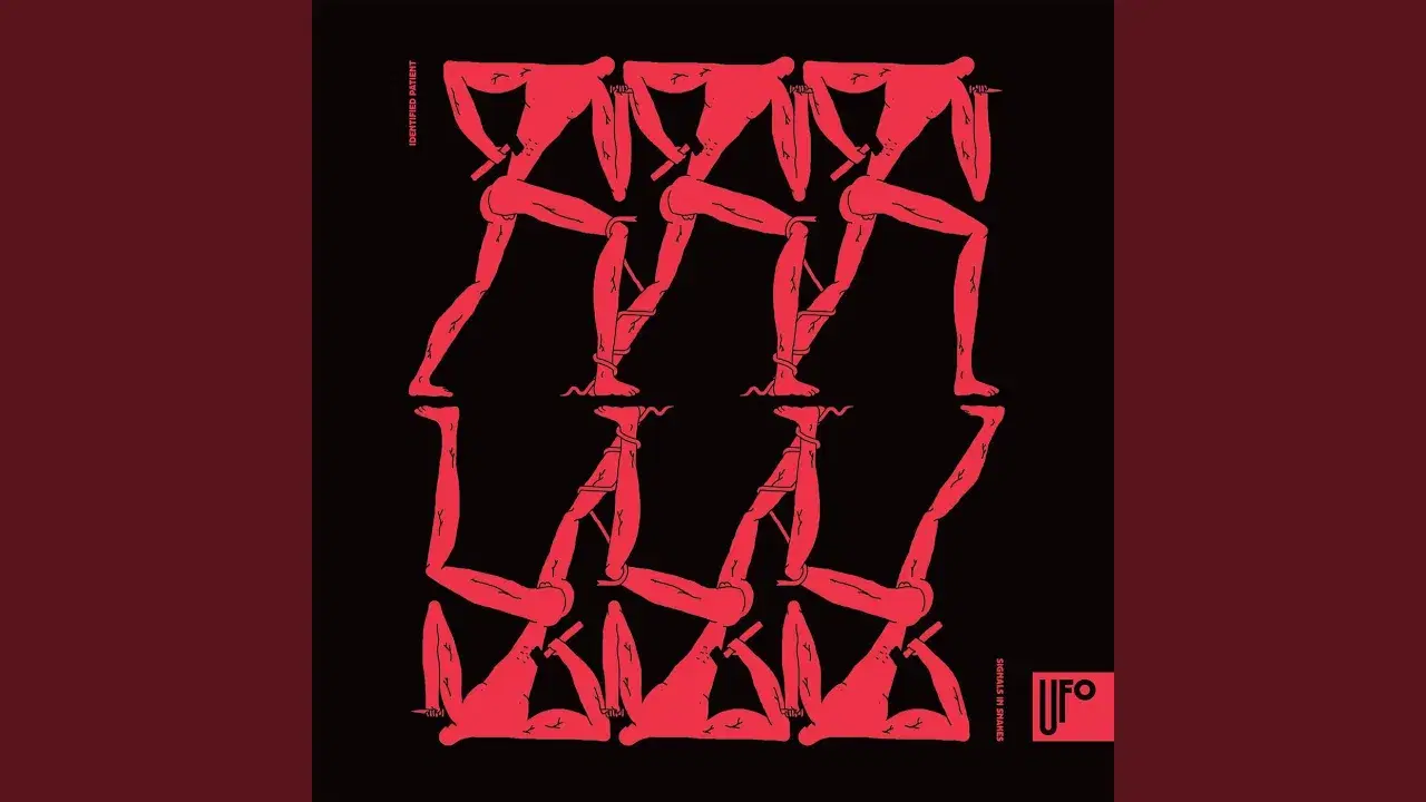 Signals in Snakes - Identified Patient, Sophie Du Palais