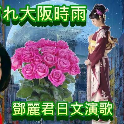 畅销好歌那卡西金曲4 - 华语群星