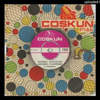 Coskun 1305 - Agus Gümüs & H. Altinparmak