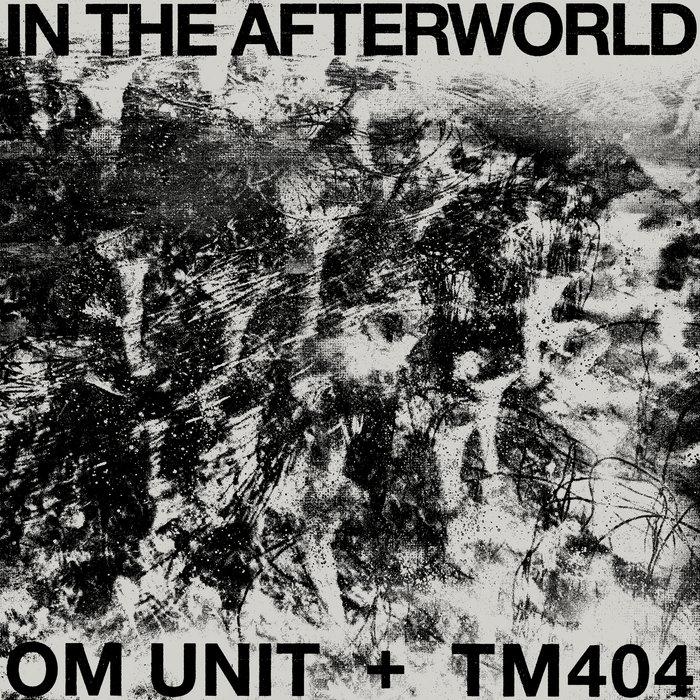 In The Afterworld - Om Unit + TM404