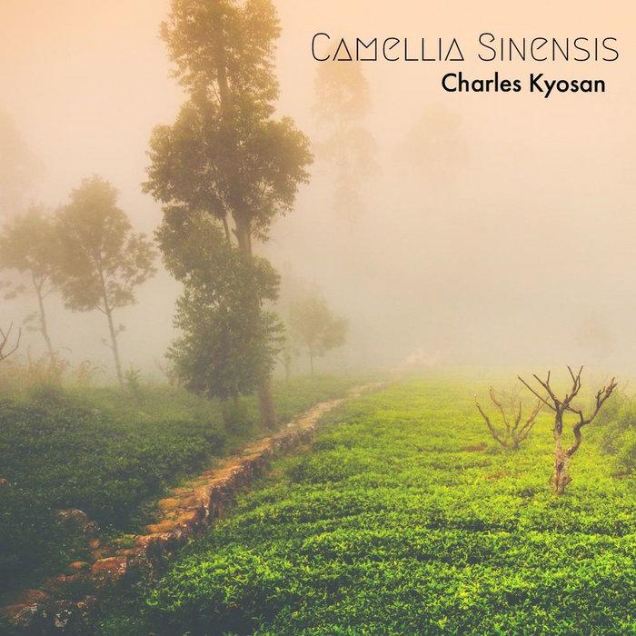 Camellia Sinensis - Charles Kyosan