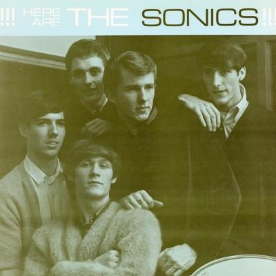 Here Are The Sonics!!! (2007, Remaster) - the Sonics