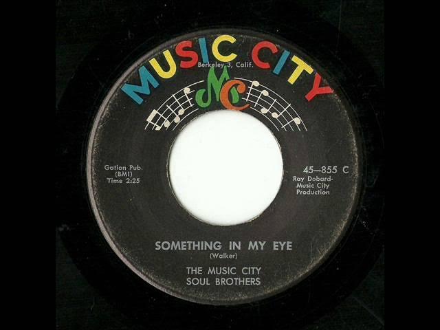 Something In My Eye / Looking For My Baby - The Music City Soul Brothers