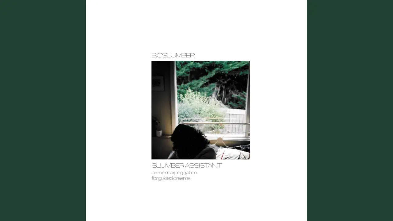 Slumber Assistant - B. C. Slumber