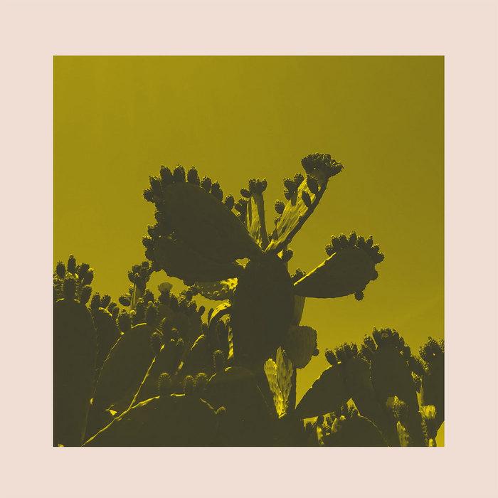 Slow Dance - Bright & Findlay