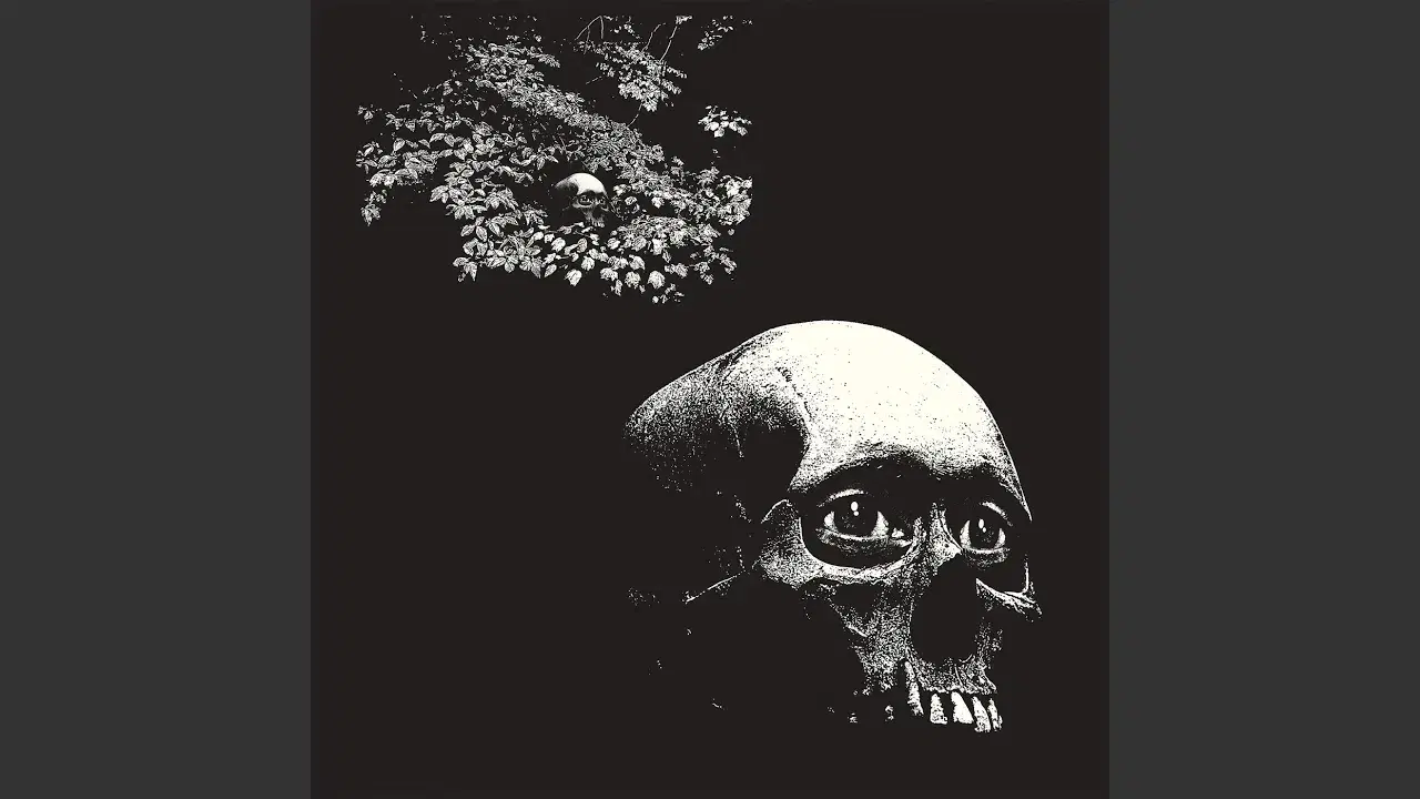 A Foul Form - Osees (Oh Sees)