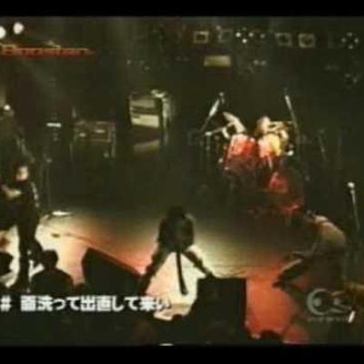  - Gauze