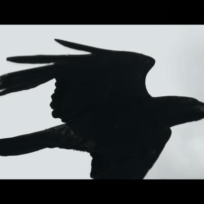Hot Und Sweet Mit Beat - The Blackbirds 