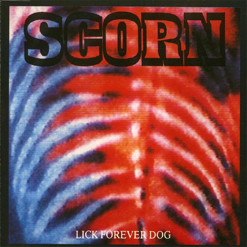 Lick Forever Dog - Scorn