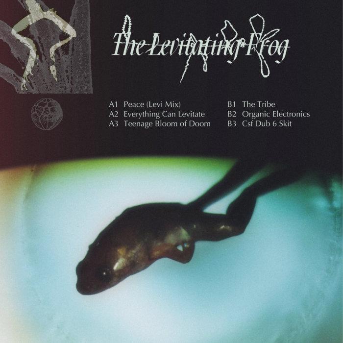 The Levitating Frog I - Repulsive Force