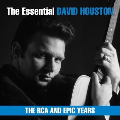  - David Houston